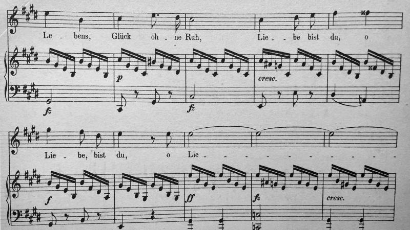 Score sample showing different voices in a lied by Schubert